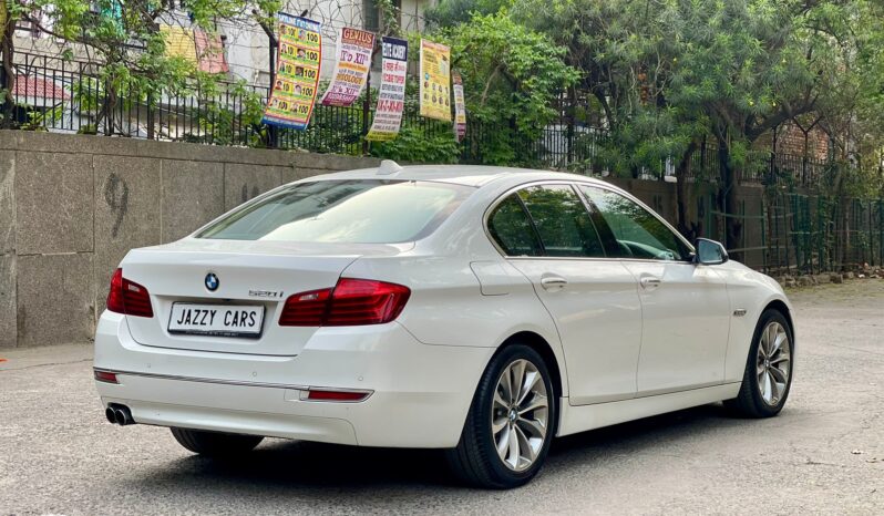 BMW 520i LUXURY LINE full