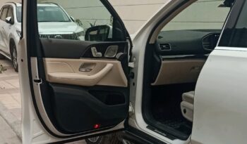 MERCEDES-BENZ GLS 400D 4-MATIC full