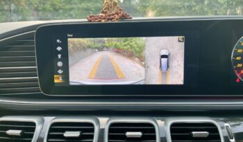 MERCEDES-BENZ GLS 400D-4MATIC full