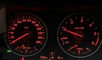 BMW X1 S-DRIVE 20D full